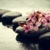 Annie