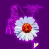 Iconalunis - Energetische Hausreinigung - Kanalöffnung - Karma Astrologie - Hellsehen ohne Hilfsmittel - Crowley Tarot Iconalunis - Energetische Hausreinigung - Kanalöffnung - Karma Astrologie - Hellsehen ohne Hilfsmittel - Crowley Tarot