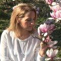 _Elandra - Hellsehen & Wahrsagen - Blockadelösung - Beruf & Arbeitsleben - Hellsehen mit Hilfsmittel - Selbstständigkeit
