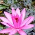 _Sibylle - Chakren-Harmonisierung - Aura-Reinigung - Sonstige Bereiche - Energetische Hausreinigung - Beruf & Arbeitsleben